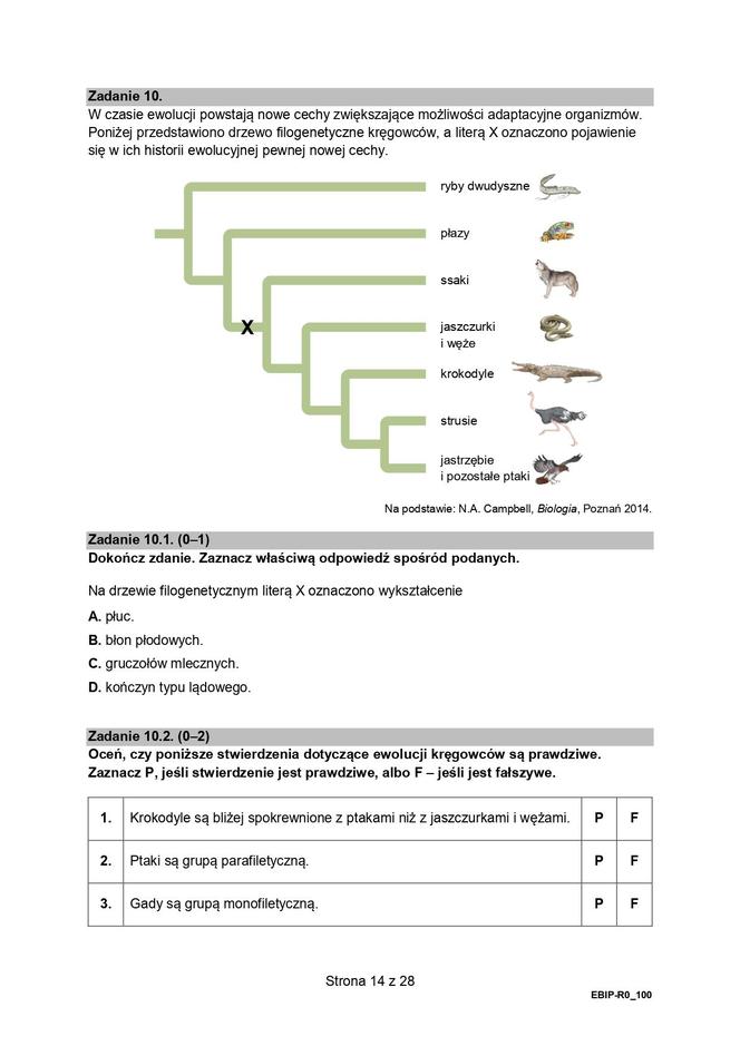 Biologia arkusze MATURA 2024 rozszerzenie FORMUŁA 2015