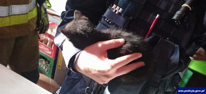 Mikołajki. Kot utknął w kominie. Nie chciał współpracować ze strażakami [ZDJĘCIA]