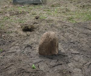 Dbają o cmentarz mennonicki sprzed potopu szwedzkiego  w kujawsko-pomorskiej wsi, która istnieje tylko z nazwy