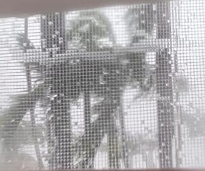 Michał Żebrowski pokazał oko cyklonu! Potworne zniszczenia po Melissie