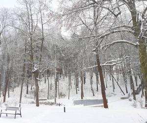 Starachowice w zimowej szacie