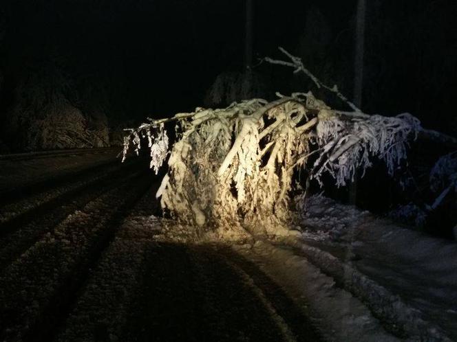 Barbara zniszczyła Polskę