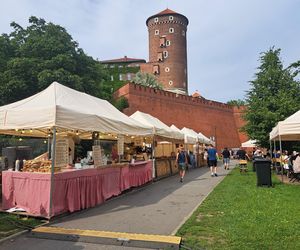 Smoczy Piknik Rodzinny 2025 w Krakowie