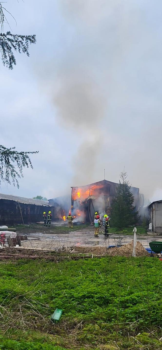 Ogromny pożar kurnika pod Olsztynem. W akcji udział brało aż 18 zastępów straży pożarnej [ZDJĘCIA]