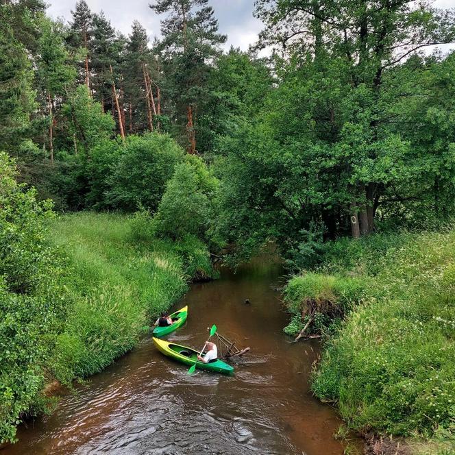 Spływ kajakowy - Kłodnica