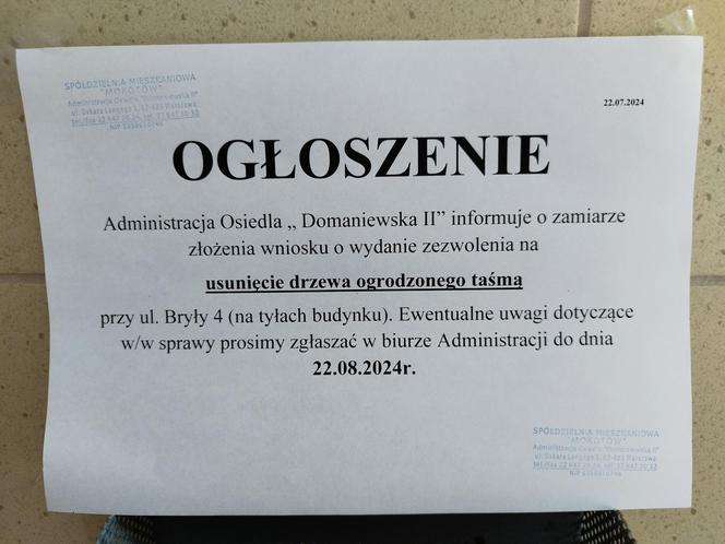 Wielkie drzewo runęło im na blok. „Widziałam, jak na mnie leci!”