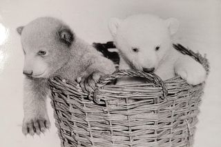 Łódzkie zoo w latach 70.