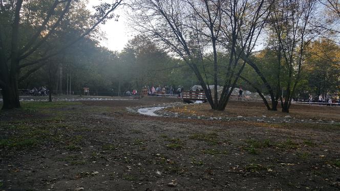Wyremontowany Park Grabek w Czeladzi