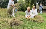 Niedzielna z lnem w Muzeum Wsi Lubelskiej. Trudno w to uwierzyć, że to taka niesamowita roślina