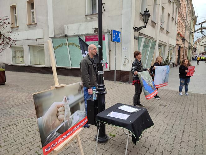 Fundacja VIVA protestuje w Lesznie