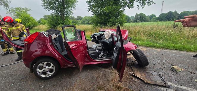 Makabryczny wypadek pod Szczecinem. Rozpędzone auto uderzyło w drzewo. Jedna osoba nie żyje, dwie są ranne