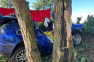 Tragedia pod Oleśnicą. Dwóch młodych mężczyzn zginęło w wypadku. Jechali za szybko