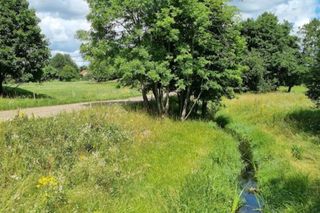 Mieruniszki na Podlasiu