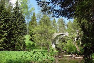 Tajemnicze mosty w lesie. Klimatem przypominają Hogwarth [ZDJĘCIA]