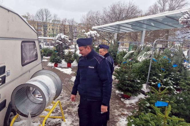 Mundurowi z Koszalina kontrolują miejsca sprzedsaży świątecznych drzewek