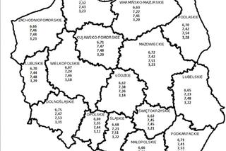 Sytuacja na rynku paliw 