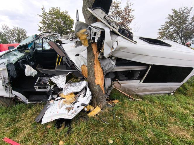 Bus uderzył w drzewo. Dwie osoby nie żyją! 