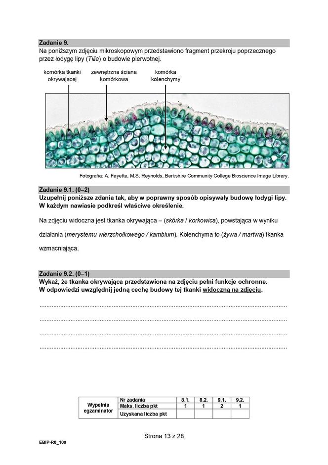 Biologia arkusze MATURA 2024 rozszerzenie FORMUŁA 2015