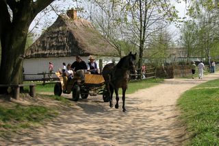 Sierpc to prawdziwa perła Mazowsza. Zaskakuje pięknymi widokami i ciekawą architekturą