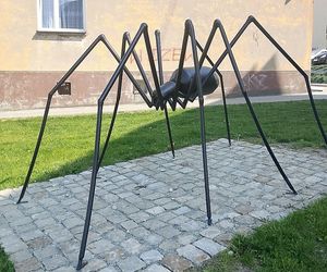 Najbiedniejsze miasto powiatowe w Łódzkiem. W rankingu zamożności znalazło się na szarym końcu