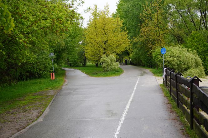 Oto najlepsze miejsca na letni spacer w Rzeszowie zdaniem AI 