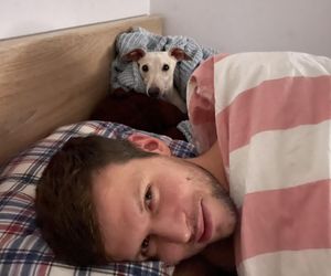 Wszyscy szukają Heńka! Za pomoc wyznaczono nagrodę. Żeby nikomu nie opłaco się go przetrzymywać