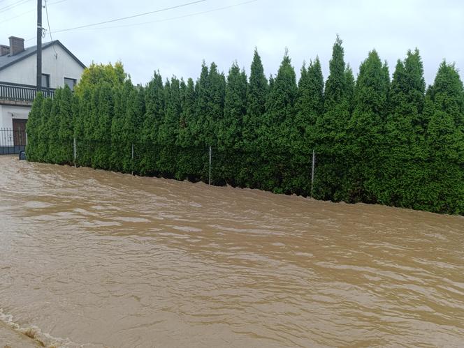 Zagrożenie powodziowe. Głuchołazy. Woda przelała się przez wały. Zalewa miasto