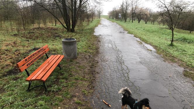 Ławki w parku na Krzemionkach