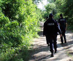 Działania służb na Wiśle w Toruniu. Straż, policja, strażnicy miejscy i grupa poszukiwawcza w akcji