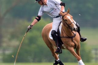 Chwalił się koniem i dostał buzi