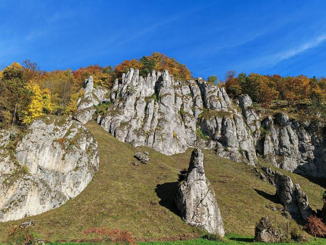 To najpiękniejsza atrakcja w sąsiedztwie Krakowa według AI. Turyści są zachwyceni tym miejscem!