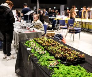 Targi egzotyki w Katowicach