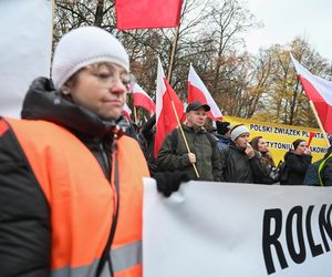 Protest plantatorów tytoniu w Warszawie (3.11.2025)