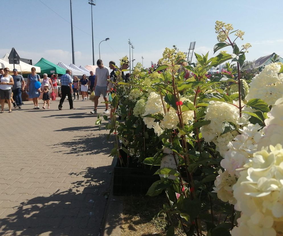 Siedlce: XXXI Międzynarodowe Dni z Doradztwem Rolniczym już w ten weekend
