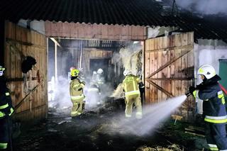 Gwałtowne burze na Podkarpaciu [GALERIA]