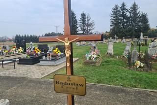 Zginął, bo najadł się muchomorów? Tragiczna śmierć mieszkańca Podkarpacia [GALERIA]