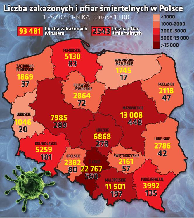 Koronawirus w Polsce. Dane z 1 października