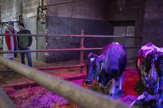 Rolnicy. Podlasie, odc. 19 (sezon piąty)