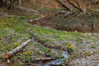 Beskidzie Morskie Oko