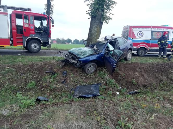Kuźnica Bobrowska: 20-latka ZJECHAŁA z drogi i uderzyła w drzewo! Z auta nic nie zostało [ZDJĘCIA] 