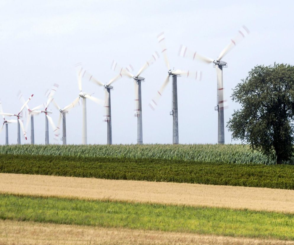 Oto największe i najmniejsze farmy wiatrowe w Łódzkiem. W planach są nowe instalacje