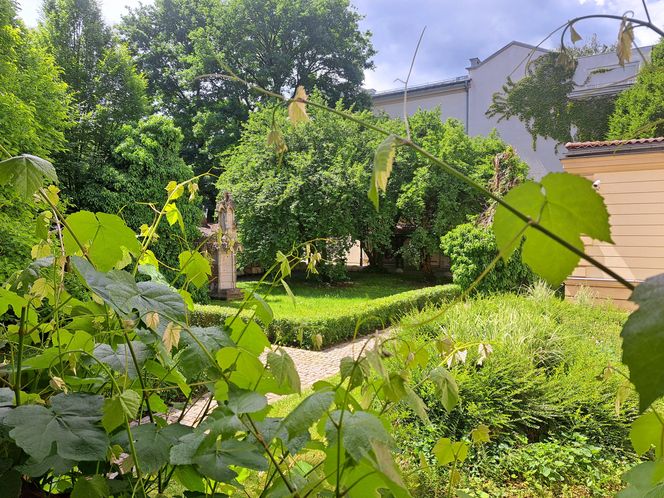 Ogród przy pałacu Czapskich w Krakowie