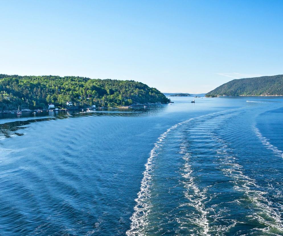 Norwegia: algi w fiordzie Oslo. Znika flora i fauna jednego z najpiękniejszych miejsc świata