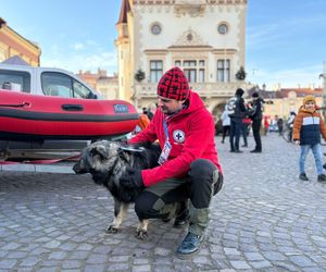 33. finał Wielkiej Orkiestry Świątecznej Pomocy w Rzeszowie