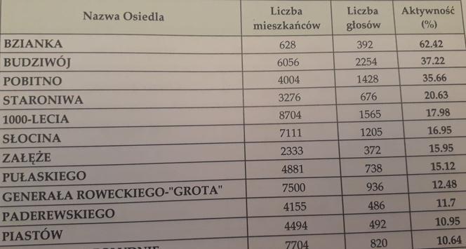 Rzeszowski Budżet Obywatelski: Wyniki już są znane!