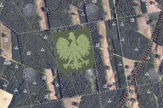 Pomorskie: Godło Polski z 70 tysięcy drzew! Jest szansa na rekord Guinnessa