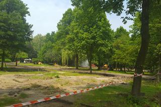 Ogród Jordanowski w Sosnowcu