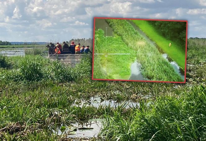 Zły stan wałów na Żuławach. „Są jak gąbka”