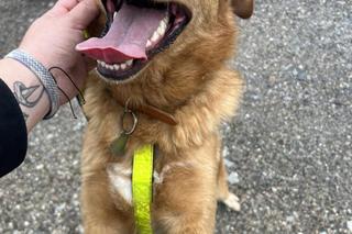 „Czy te oczy mogą kłamać?”. Na pewno nie! Zobacz milusińskich naszych Czytelników! Zakochasz się od pierwszego wejrzenia. Zobacz