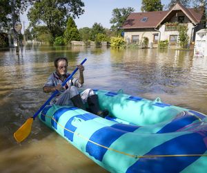 Burmistrz wyjechała na drogie wakacje, w tym czasie jej miasteczko zalała wielka fala. Nie wrócę